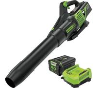 Greenworks Souffleuse à feuilles axiale portative 2424402VT 80 V 730 CFM