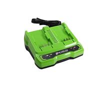 Greenworks Tools Chargeur universel de batterie à double fente G24X2UC2 de (sortie Li-Ion 24 V 48W adaptée à toutes les batteries de la série 24 V de Greenworks)