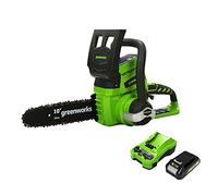 Greenworks Tools Tronçonneuse à batterie G24CS25K2 (Li-Ion 24 V 25 cm longueur de sabre 50 ml volume du réservoir d'huile incluant une batterie de 2Ah et un chargeur) 2000007UA Vert