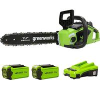Greenworks Tronçonneuse à Batterie avec Moteur Sans Balais, Longueur Guide-Chaîne 14 Pouces (35cm), Vitesse de Chaîne 12 m/s, 3,5 kg, Anti-Rebond, 2 Batteries 40V 2Ah, Chargeur-GD40CS15K2X