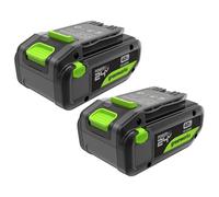 Greenworks TwinPack 24V 4Ah Batterie High Power USB-C Batterie Rechargeable Lithium-ION Haute capacité, Compatible avec Tous Les Outils Greenworks 200+ de la série 24 V, Garantie 2 Ans - K2D8NNA