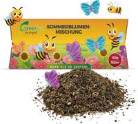 Greenyp mélange de fleurs d'été I 100g pour 100m² I Prairie fleurie d'été - pour les abeilles et les papillons I Mélange de graines de fleurs annuelles et vivaces