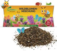 Greenyp mélange de fleurs sauvages I 100g pour 100m² I Graines de fleurs sauvages - mélange de fleurs pour abeilles respectueux des insectes I Mélange de graines de fleurs annuelles & vivaces