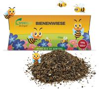 Greenyp Prairie d'abeilles mélange de fleurs I 100g pour 100m² I Prairie d'abeilles - Aimant à abeilles et bourdons I Mélange de graines de fleurs annuelles et vivaces favorables aux abeilles