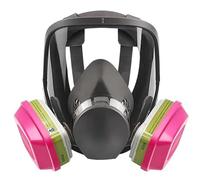 Greethga Respiratoire à plein , respiratoire réutilisable 6800 avec filtres, anti-buée, respirateur pour vapeurs organiques