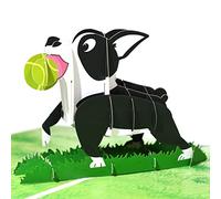 GREETING ART Carte pop-up pour chien, carte d'anniversaire, carte de félicitations, carte d'amitié, carte cadeau, carte surprise avec un chien (Boston Terrier) et une prairie verte 3D