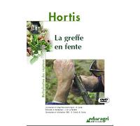 Greffe en fente (La)