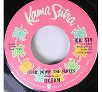 (Greg brown) OCEAN 45 RPM Tear Down the fences / Put your hand in the hand