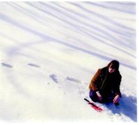 Greg Weeks - Awake Like Sleep