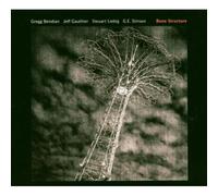 Gregg Bendian, Steuart Liebig, Jeff Gauthier, G.E.Stinson - Bone Structure