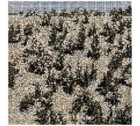 Gregory Uhlmann - Extra Stars (Star Dust Vinyl) [Vinyl Lp] Colored Vinyl