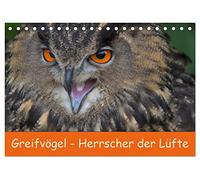 Greifvögel - Herrscher der Lüfte (Tischkalender 2026 DIN A5 quer), CALVENDO Monatskalender: Wundervolle Portrais von Greifvögeln