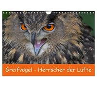 Greifvögel - Herrscher der Lüfte (Wandkalender 2026 DIN A4 quer), CALVENDO Monatskalender: Wundervolle Portrais von Greifvögeln
