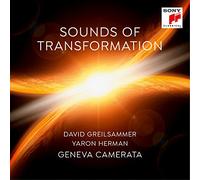Greilsammer, David - Sounds of Transformation