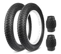 GRELiving Pneu de vélo 16x3.0(76-305) / 20x3.0(76-406) pour Fat Bike, VAE, Quad, Plage et Neige (Option 2 : 2 pneus externes, 16X3.0)