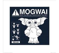 Gremlins (Mogwai Rules 40 x 40 cm Toile Imprimée