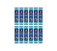 Grenadine Boutique - Encens Ayurvédique (Ayurvedic) - Opiu.m Lot de 12 Boîtes de 15g Environ 144 Bâtonnets