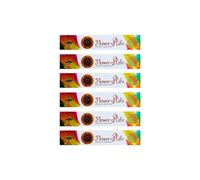 Grenadine Boutique - Green Tree Encens Bâtonnets Méditation et Bien Être - Lot de 6 Boîtes de 15 Bâtonnets Fleur de Vie Flower of Life
