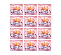 Grenadine Boutique - Hem Encens Cônes Florales - Lot de 12 Boîtes de 10 cônes Lotus