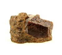 GRENAT GROSSULAIRE-ANDRADITE en provenance de France, Massif du Costabonne, Pyrénées-Orientales - Pierre Naturelle Rare et Puissante 156,0 ct - Certificat d'Authenticité Inclus 32 x 34 x 16 mm G