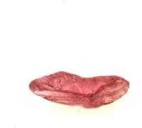 GRENAT RHODOLITE - Pierre Naturelle en Provenance de Birmanie, Mogok Valley - Pierre précieuse, rouge vif, qualité gemme 0.250 ct - Certificat d'Authenticité Inclus 6 x 2 x 1 mm Rouge G