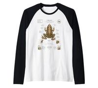 Grenouille Anatomie Vintage Field Guide Diagramme Nature Art Manche Raglan