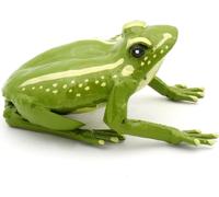 Grenouille vert clair - Grenouille