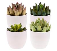 Gresorth 4 Pièces Artificiel Succulentes Plante Décoration en Pots Faux Lotus Paysage Assortis Mini Ornement Armoire Tableau Salle de Bains