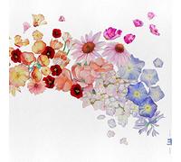 Gretchen Parlato - Flor - Gretchen Parlato (Vinyle LP)