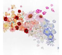 Gretchen Parlato Flor (Vinyl) 12" Album