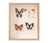 Grewod Cadre Photos 30x40 cm, Bois Profondeur 5cm, MDF, Rectangle, Horizontal et Vertical, Cadre Deco pour Dessus de Table