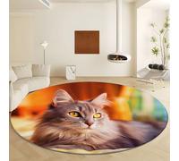Grey Round Area Rug, Soft Low Pile Machine Washable Carpet - Non Slip Faux Wool Photography Style Animal Cat Rugs for Living Room Bedroom Dining Room Office Home Decor Diameter 160 cm