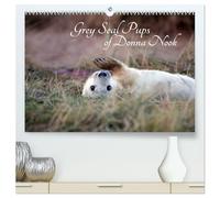 Grey Seal Pups of Donna Nook (High Quality Premium Wall Calendar 2026 DIN A2 landscape),CALVENDO 12 Month Wall Calendar: New borns and week old seal pups