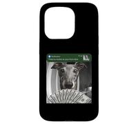 Greyhound Il y a du Mouvement à Votre Porte d'entrée Italian Stuff Coque pour iPhone 15 Pro
