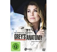 Greys Anatomy - Die jungen Ärzte: Season 12
