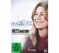 Greys Anatomy - Die jungen Ärzte: Season 15