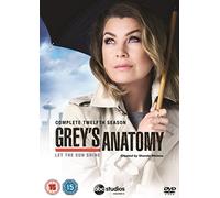 Grey's Anatomy – Jesse Williams, Caterina Scorsone – DVD – Saison 12 complète (Import)