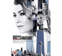 Grey's Anatomy – Ellen Pompeo, Chandra Wilson – DVD – Saison 14 complète (2018)