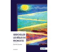 Gribouiller les règles du pronostic - Camille Coustier - Nombre 7 - broché - Roman
