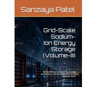 Grid-Scale Sodium-Ion Energy Storage (Volume-III): Electrochemical Engineering, System Architecture, and the Economics of the 100MWh Plant