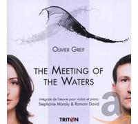 Grief Meeting of The Waters. Moraly, David. [Import]