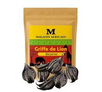 Griffe de Lion (Martynia annua) - Plante Bicorne Séchée | 100% Naturelle | Origine Afrique de l’Ouest (15)