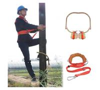 Griffe elagage Crampons D'élagage pour Travaux Arboricoles, Kit De Fixation Portable pour Poteau en Bois avec Boucle Pied pour La Cueillette Fruits(Model 300mm (11.8in))