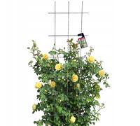 Kadax Treillis métal pour jardin, balcon, terrasse – Tuteur plantes grimpantes en acier – 45×150 cm