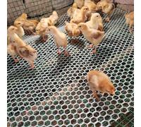 Grillage Plastique Blanc, Rouleau de Grillage en Plastique pour Clôture de Volaille, Petite Maille, Filet de Protection Multi-Usages pour Gouttiere, Balcons, Terrasses et Clôtures ( Color : 2.5cm , Ta