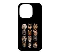 Grillage pour Enseignant, Chats, Salle de haton, Cadeaux pour enseigner la Vie Coque pour iPhone 14 Pro
