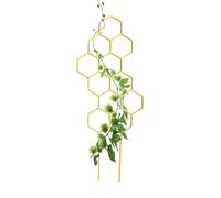 Grillage vertical pour d'intérieur, aide à la croissance du jardin