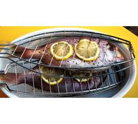 Grille à poisson - 8711252213453