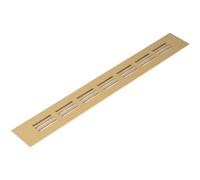 Grille d'aération 40 x 300 mm en aluminium doré avec moustiquaire Convient aux applications de chauffage, de refroidissement et de ventilation Convient pour l'intérieur et l'extérieur