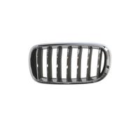 Grille de calandre avant gauche chrome/chrome/noire BMW X5 3 F15 2013-2019 - 51137316061